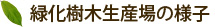 緑化樹木生産場の様子 