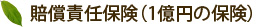 賠償責任保険（1億円の保険）