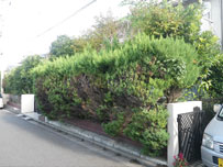 H様邸　植栽修繕
